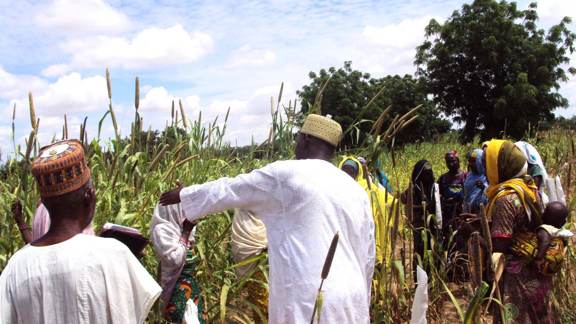 Nigeria Kicks Off 1 Gw Solar Ipp Program For Rural Electrification Pv