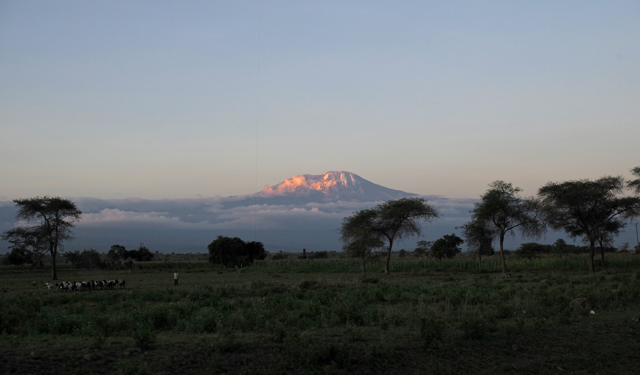 горы в танзании