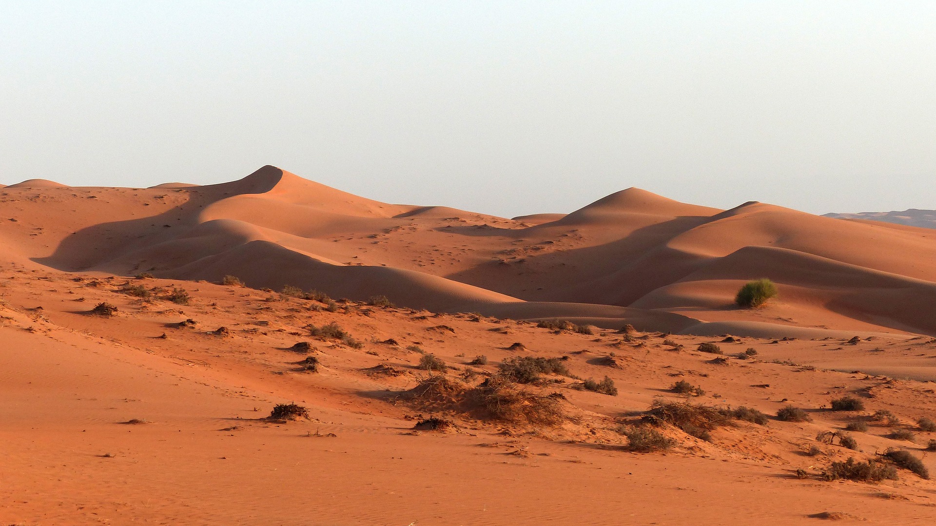 Irena And The Un Ink Agreement To Combat Desertification With 