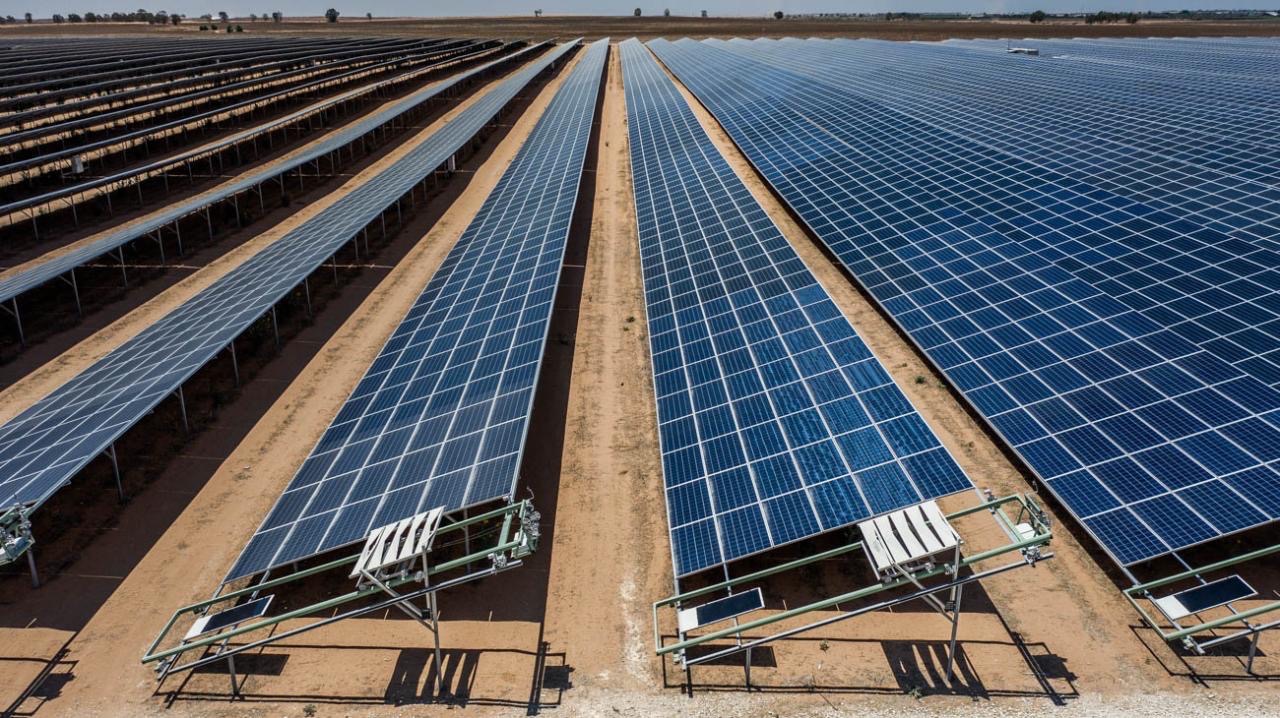 Israel’s largest solar park comes online – pv magazine International