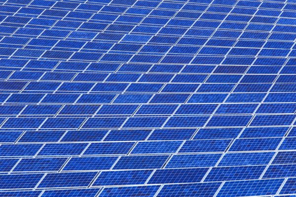 Indian company launches 700 MW solar tender – pv magazine International