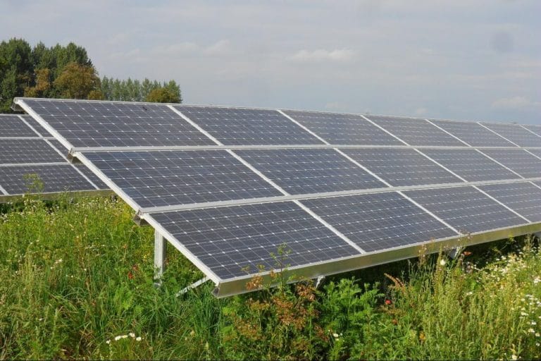 French Developer Secures Ppa For 5 Mw Agrivoltaic Project Pv Magazine