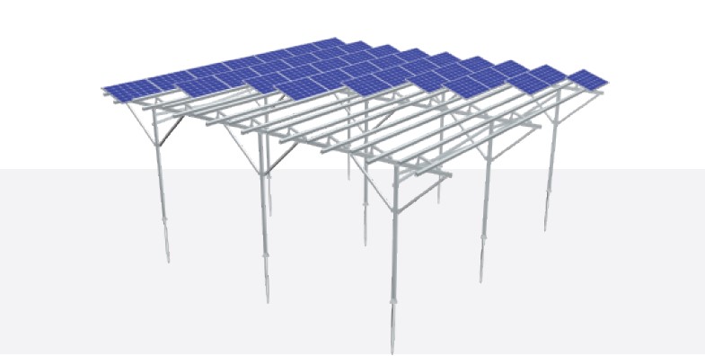 Mounting System For Agrivoltaics Pv Magazine Australia