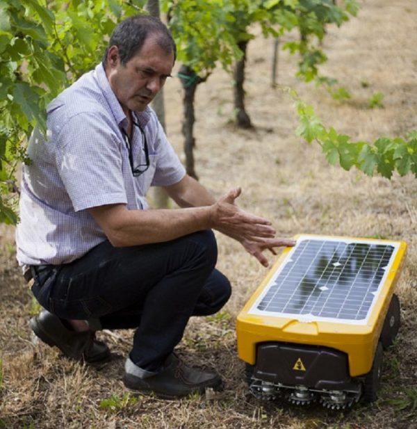 Solar-powered robotic mower for vineyards – pv magazine International