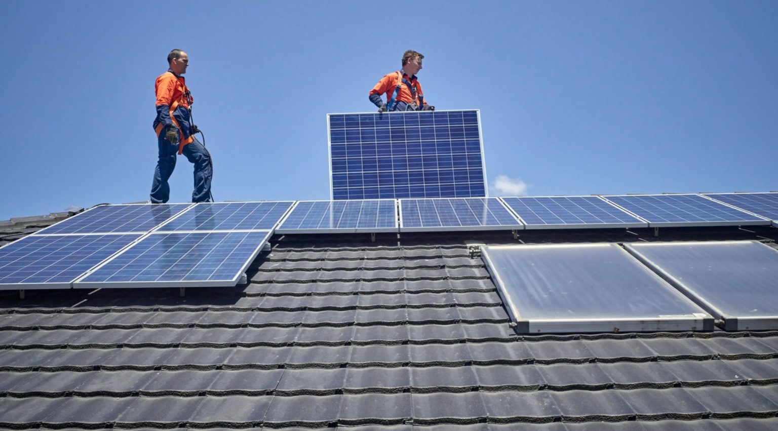 The wild side of rooftop solar – pv magazine International