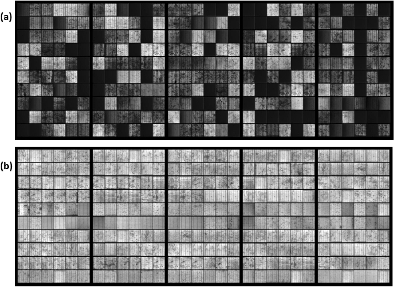 a-closer-look-at-potential-induced-degradation-in-solar-cells-pv