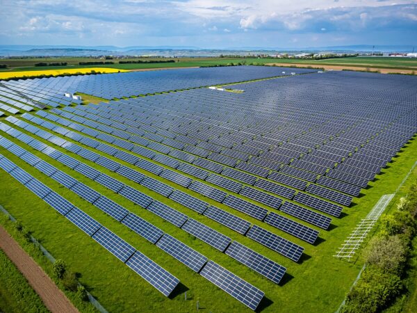 Romanian utility launches tender for 12 MW solar project – pv magazine ...