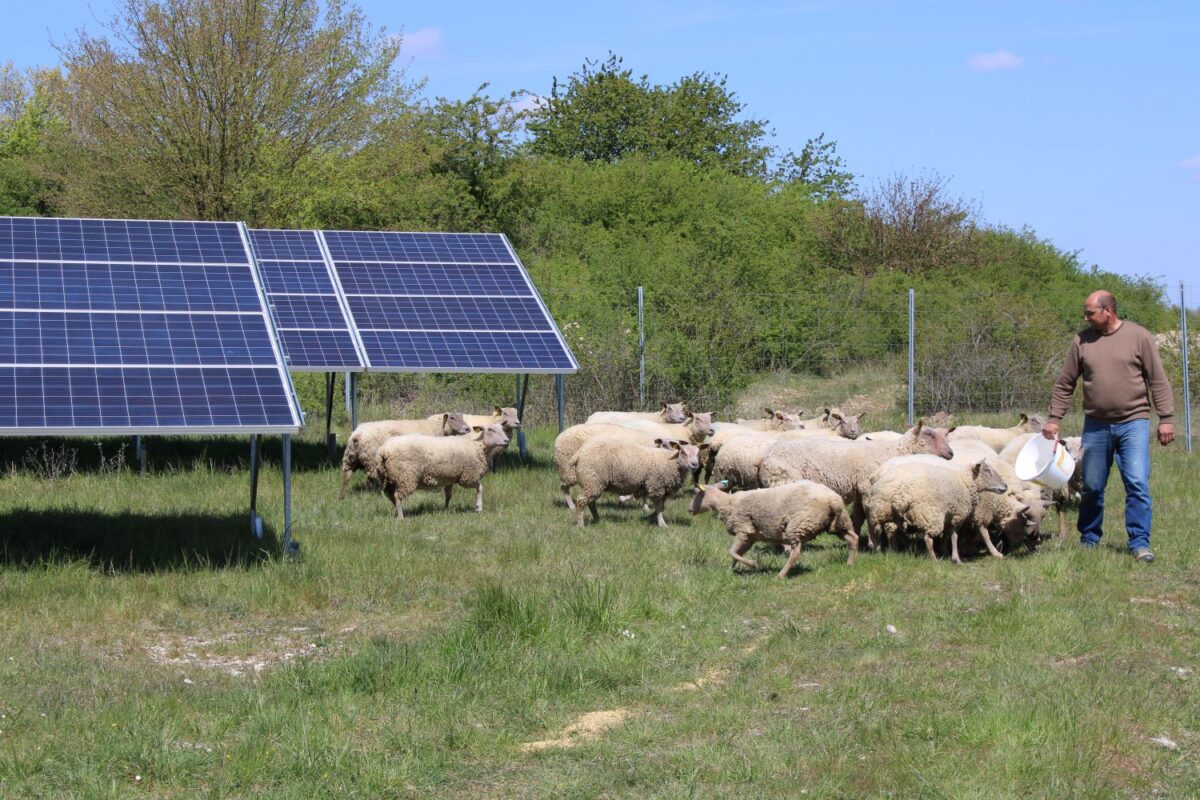 Fontenet solar farm, France