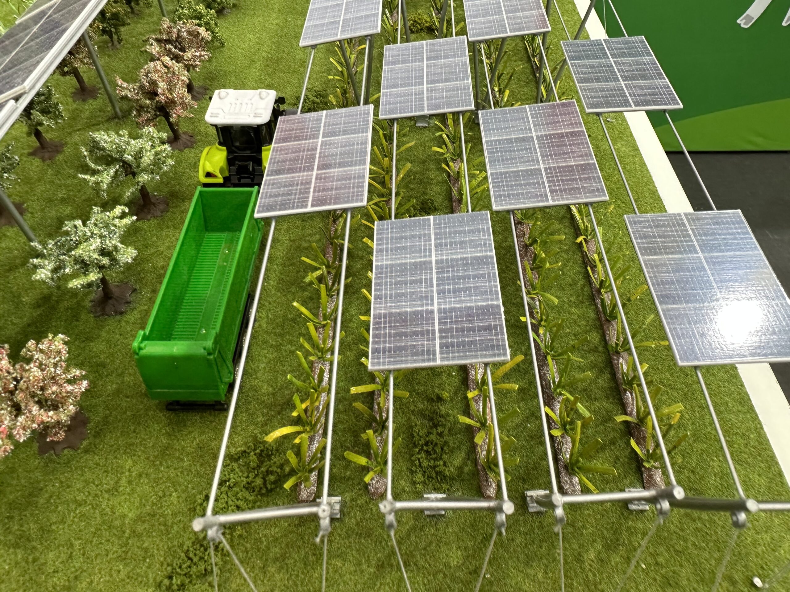 Microclimates could bolster case for agrivoltaics – pv magazine ...