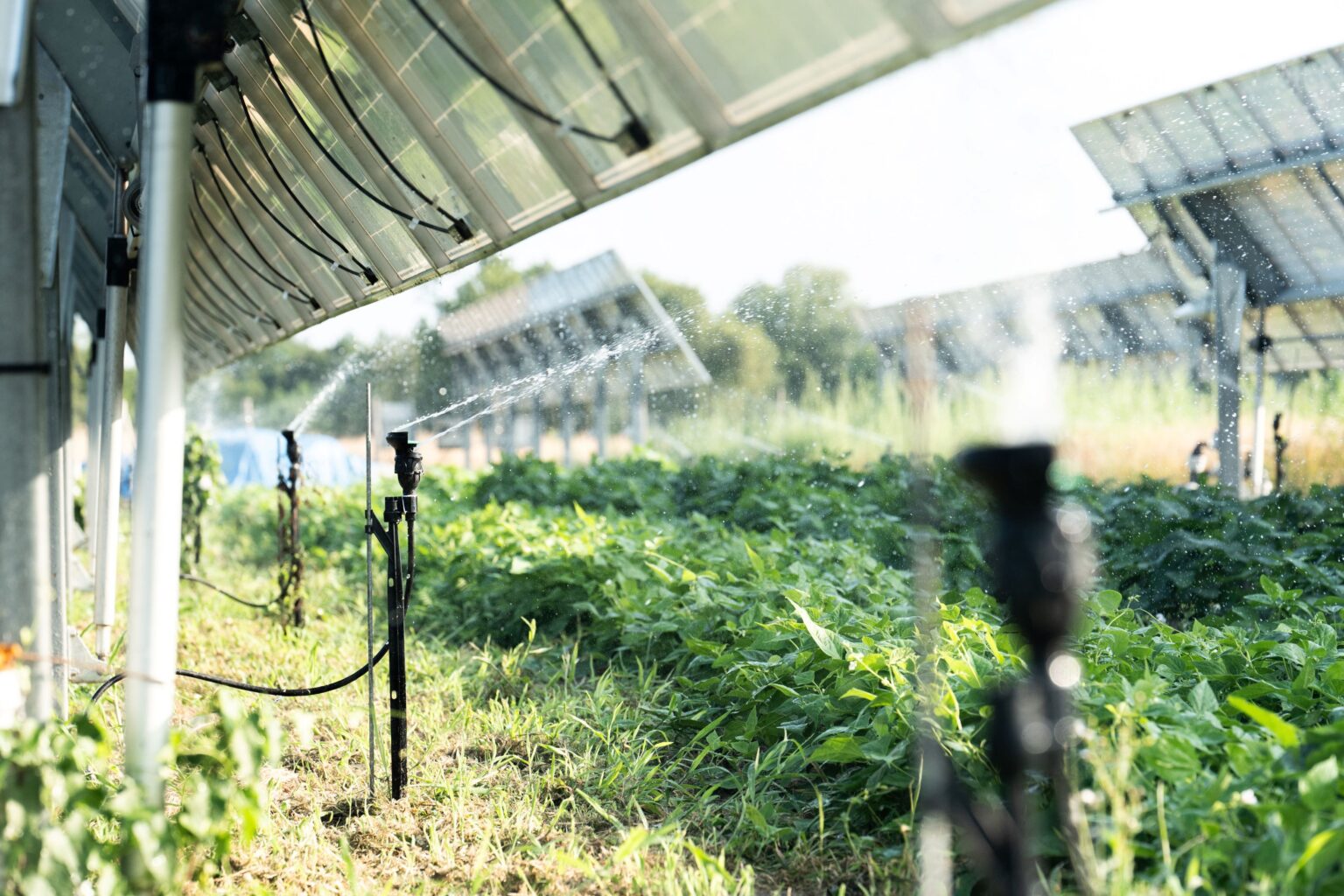 French Authorities Approve 450 Mw Agrivoltaic Project Pv Magazine