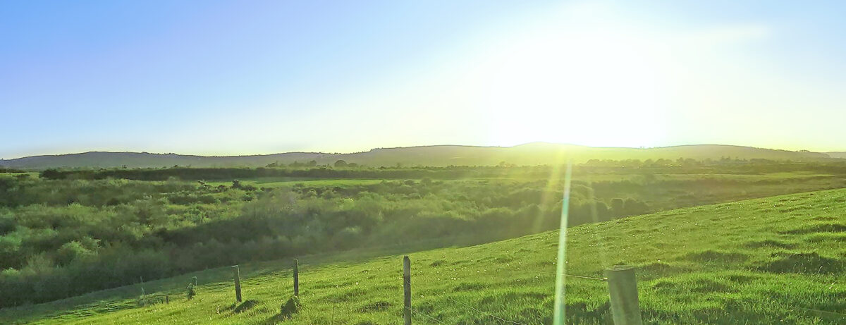 Ballinknockane solar farm site with a green field and blue sky.