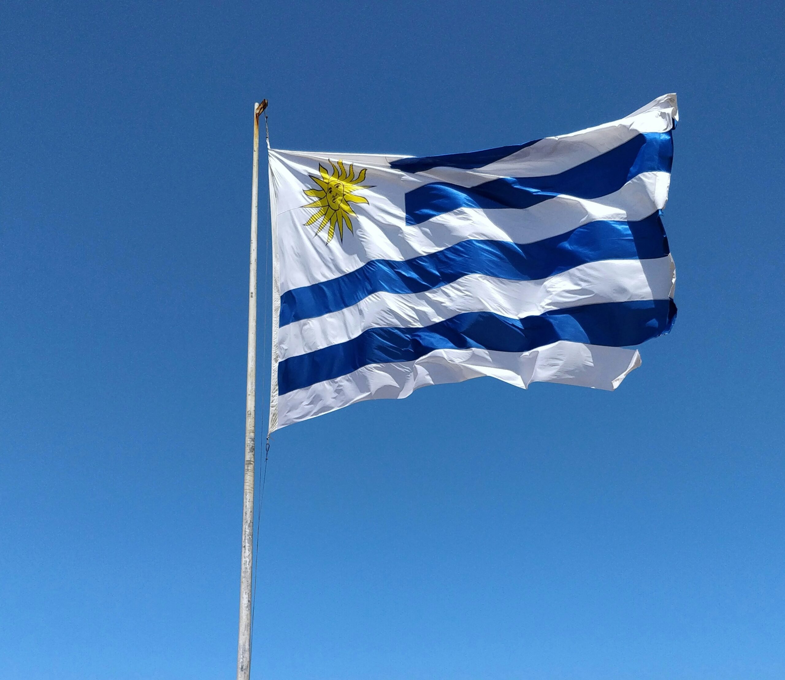 Uruguay launches tender for 75 MW solar park