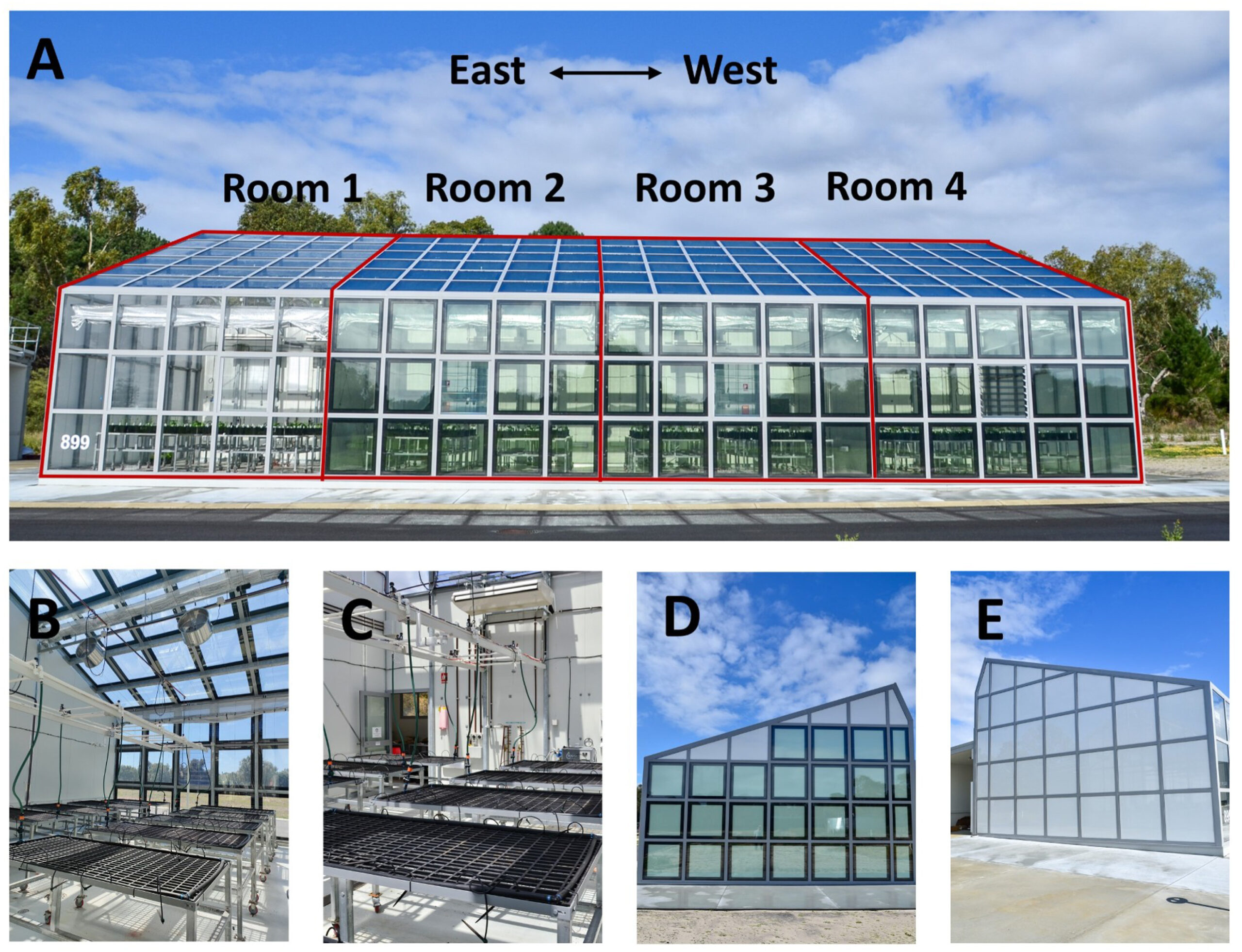 Photovoltaic windows can reduce energy consumption in greenhouses by 57%