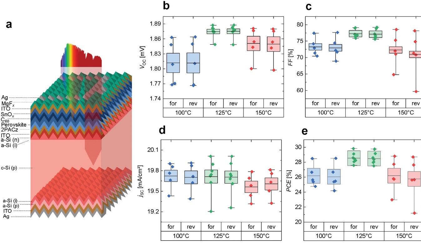 Perovskite-silicon tandem solar cell based on hole selective monolayers achieves 29.8% efficiency